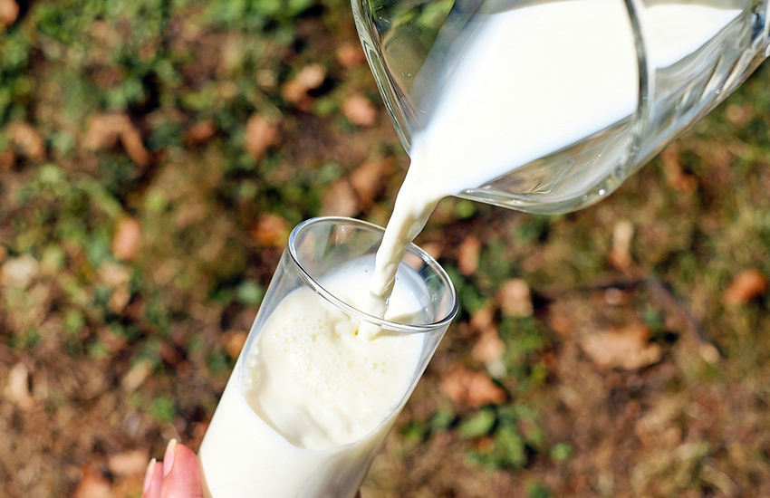 Osteoporose, veel melk of juist niet?